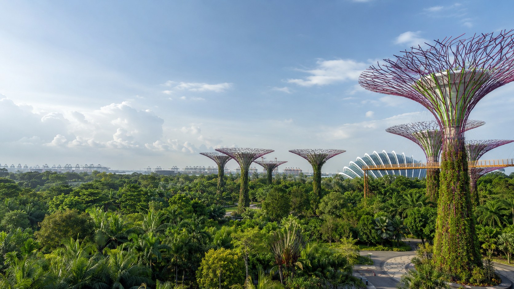 Gardens by the Bay and Supertree Grove
